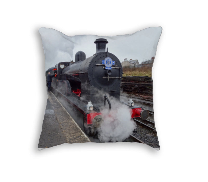 Cushions-WhatsOnYourWall
