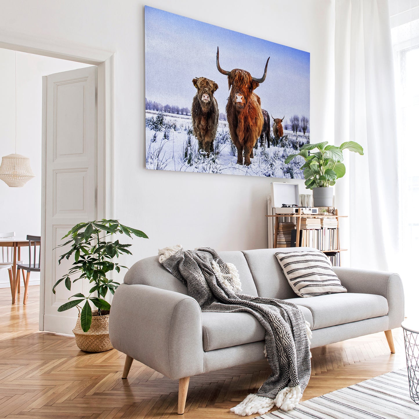 Canvas Wall Art of Highland Cow