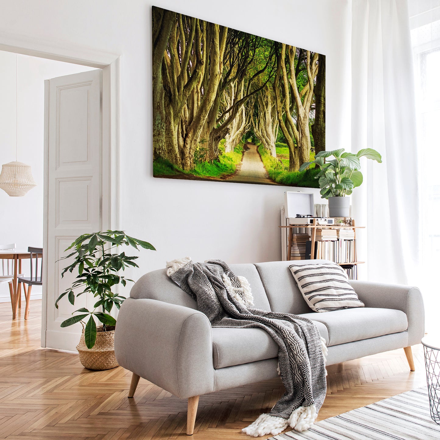 Canvas Wall Art of Dark Hedges