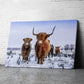 Canvas Wall Art of Highland Cow Canvas Prints 