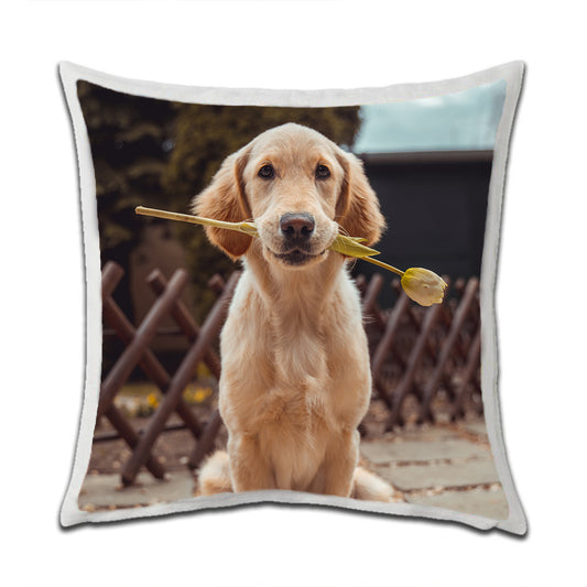 Personalised Cushions Cover for your Home