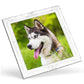 Square Custom Photo Canvas - Silver Frame Effect
